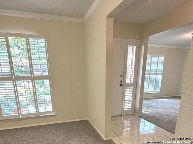 Listing photo id 6 for 8526 Timberwilde