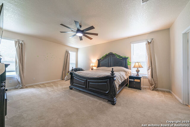 Listing photo id 11 for 137 Springtree Shadow