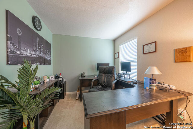 Listing photo id 28 for 137 Springtree Shadow