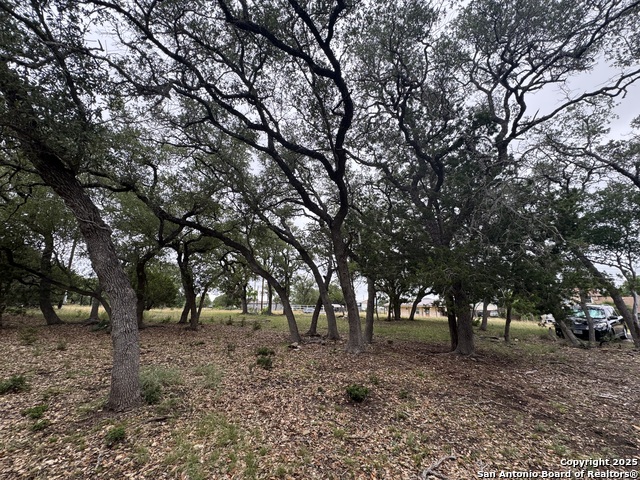 Listing photo id 1 for 1508 Bandera