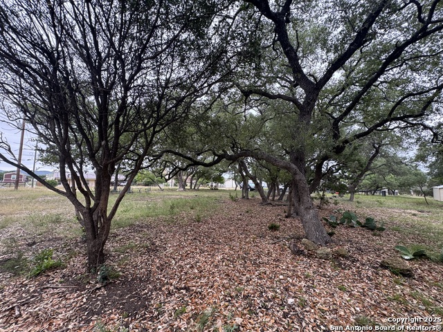 Listing photo id 2 for 1508 Bandera