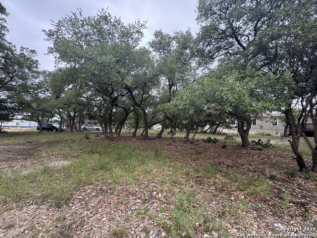 Listing photo id 3 for 1508 Bandera