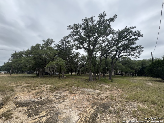 Listing photo id 5 for 1508 Bandera