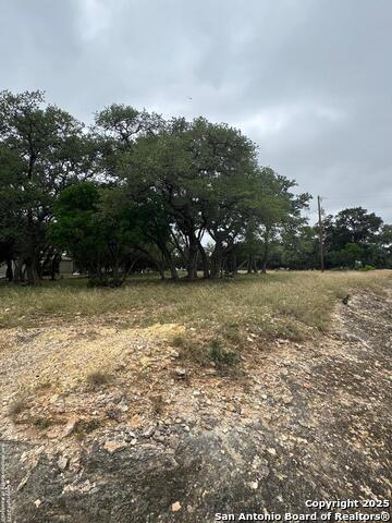 Listing photo id 6 for 1508 Bandera