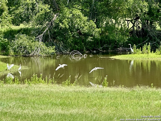 Listing photo id 26 for 10745 Rosemar Ln