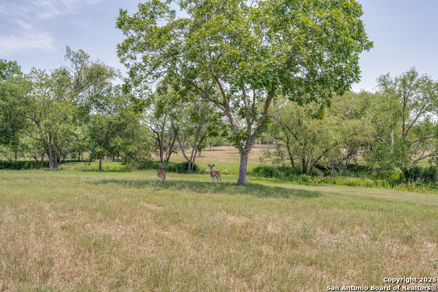 Listing photo id 28 for 10745 Rosemar Ln