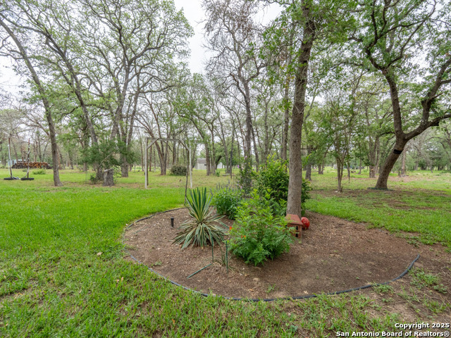 Listing photo id 41 for 120 Spanish Oak Trail