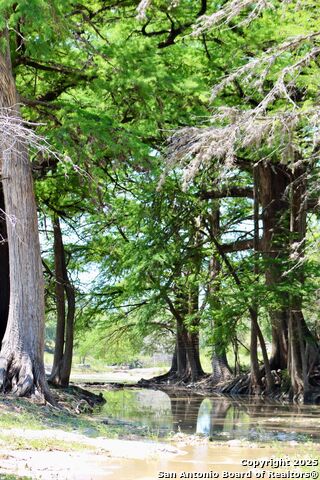 Details for 149 Bloodhound, Sisterdale, TX 78006