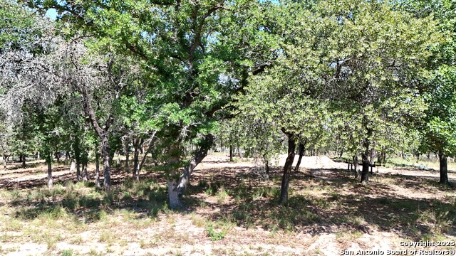 Image 2 of 6 For 105 Scenic Oak