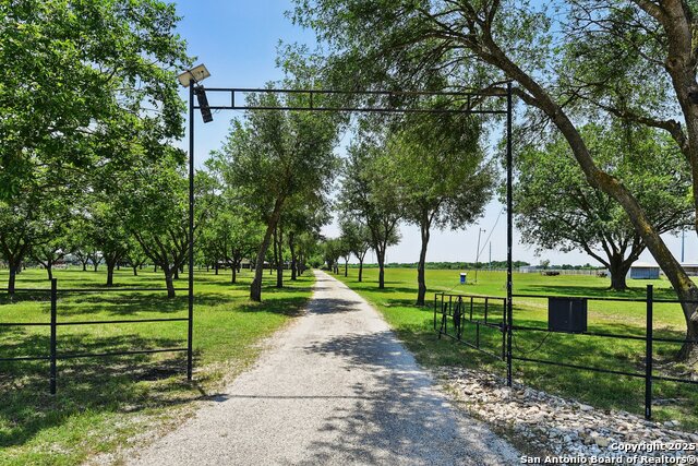 Listing photo id 37 for 2495 Lower Seguin