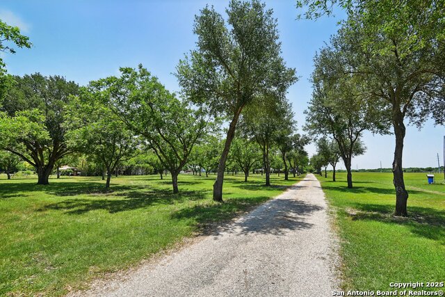 Listing photo id 38 for 2495 Lower Seguin