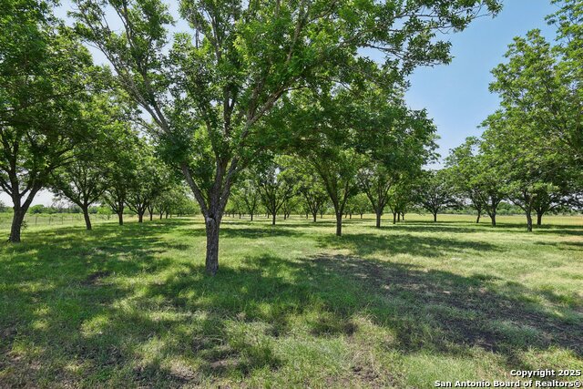 Listing photo id 39 for 2495 Lower Seguin