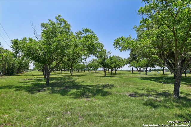 Listing photo id 40 for 2495 Lower Seguin