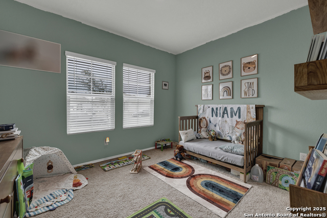 Image 15 of 26 For 848 Cinnamon Teal