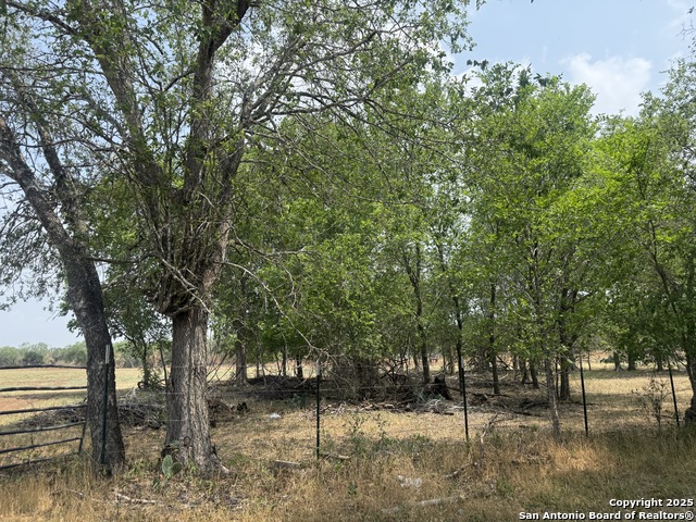 Image 5 of 12 For 1404 Us Highway 87 W