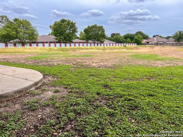 Image 4 of 8 For 1614 Gruene Vineyard