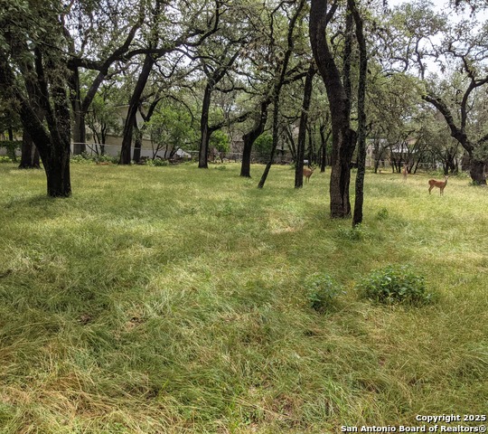 Details for 16814 Lilly Crest, San Antonio, TX 78232
