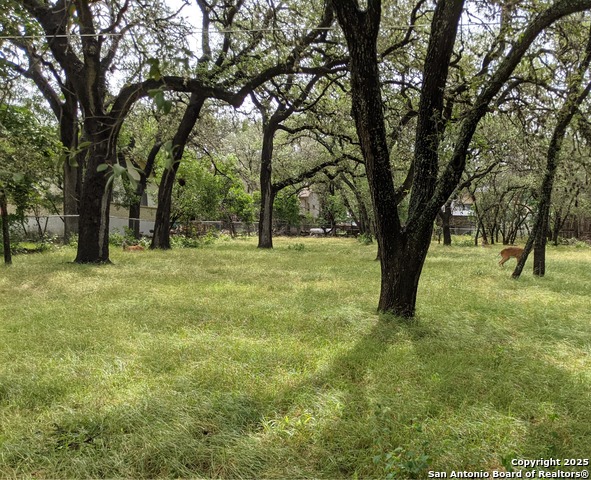 Listing photo id 0 for 16814 Lilly Crest