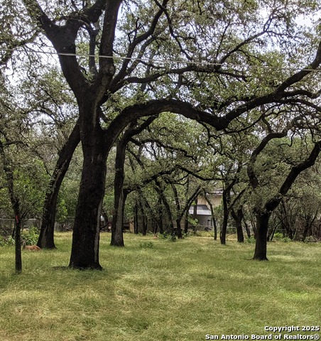 Listing photo id 1 for 16814 Lilly Crest