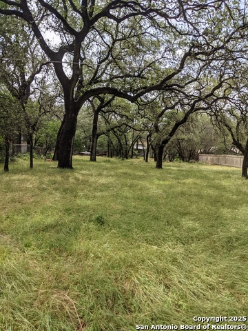 Listing photo id 3 for 16814 Lilly Crest