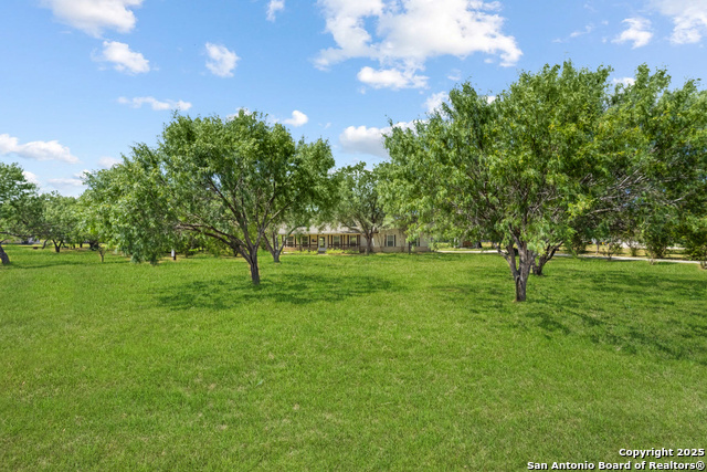 Image 2 of 19 For 5206 Savannah Bend