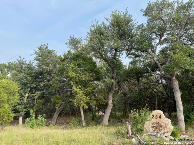 Details for 254 Flanders, Fischer, TX 78623