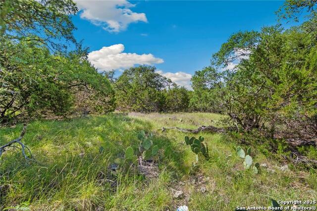 Image 4 of 17 For 0 Tbd, Lot 473