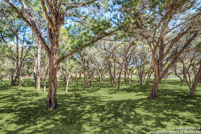 Listing photo id 23 for 954 Lakeside