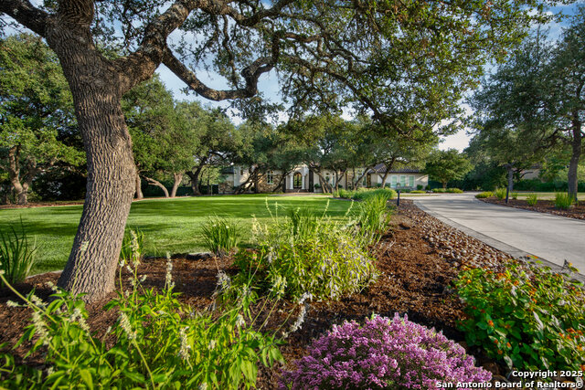 Details for 11118 Anaqua Spgs, Boerne, TX 78006