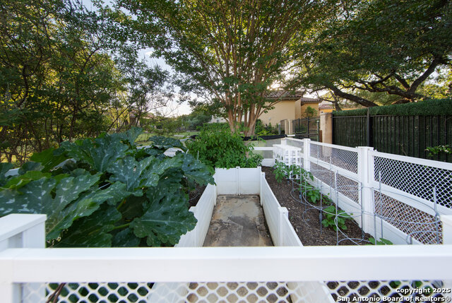 Listing photo id 61 for 11118 Anaqua Spgs
