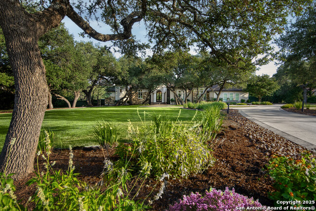 Listing photo id 67 for 11118 Anaqua Spgs