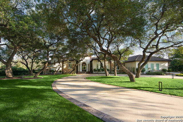 Listing photo id 5 for 11118 Anaqua Spgs