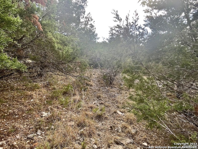Image 6 of 11 For 26003 Choctaw Trail