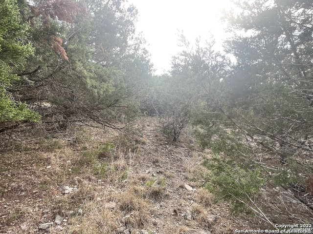 Image 8 of 11 For 26003 Choctaw Trail