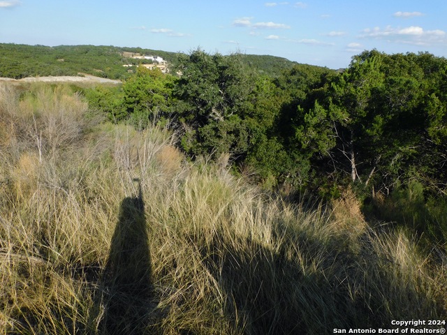 Image 16 of 17 For 22202 Ravine