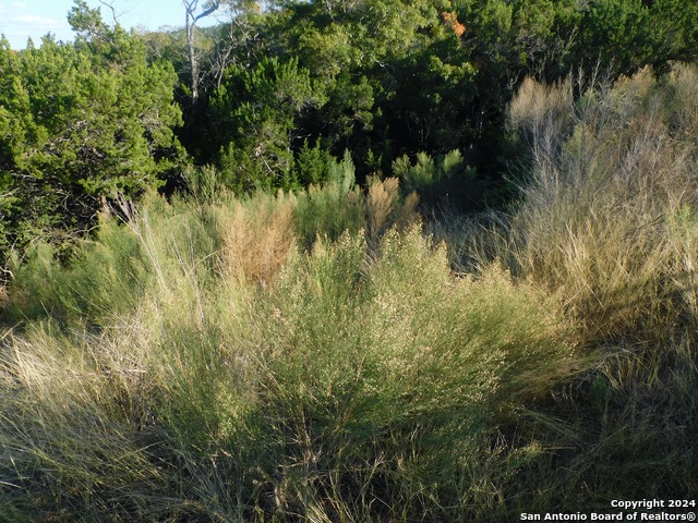 Image 17 of 17 For 22202 Ravine