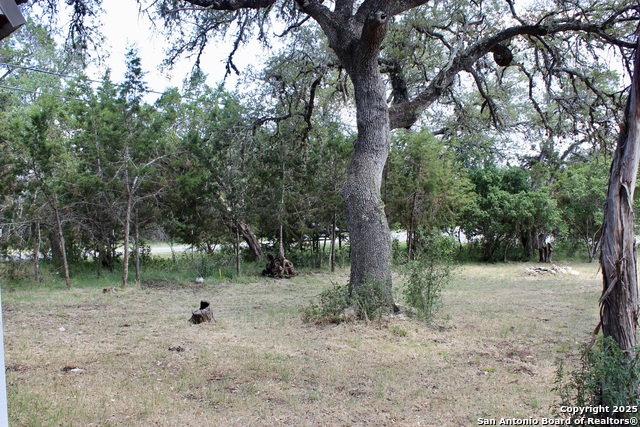 Listing photo id 10 for 0 Tbd