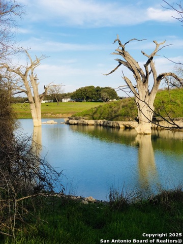 Listing photo id 15 for 0 Tbd