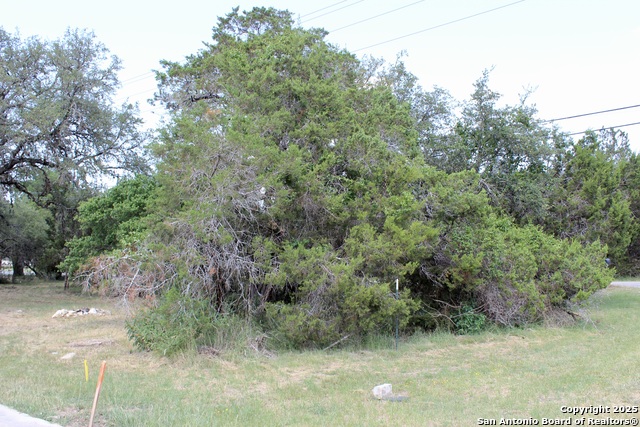 Listing photo id 5 for 0 Tbd