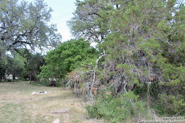 Listing photo id 6 for 0 Tbd