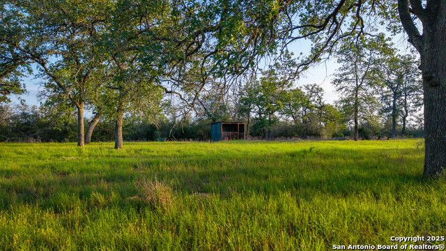 Image 43 of 50 For 7417 Nockenut