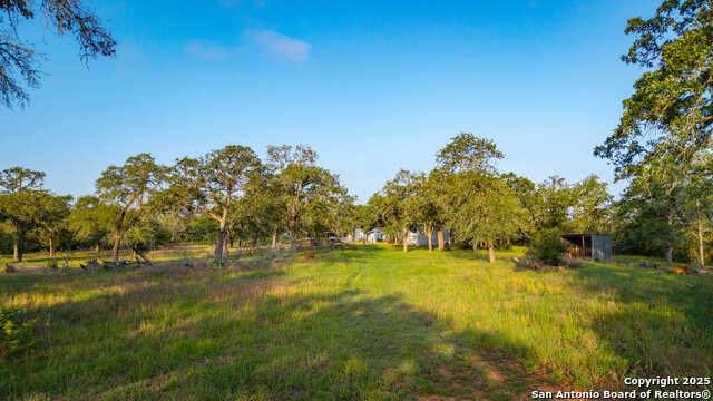 Image 44 of 50 For 7417 Nockenut