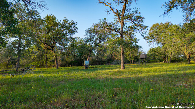 Image 45 of 50 For 7417 Nockenut