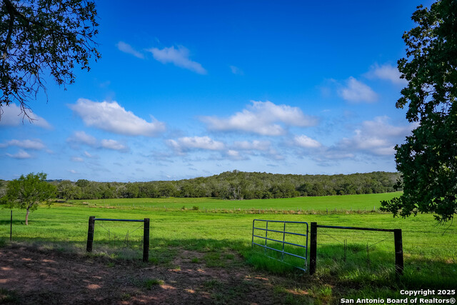 Image 49 of 50 For 7417 Nockenut