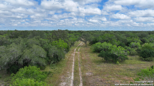 Image 11 of 34 For 001 County Road 266