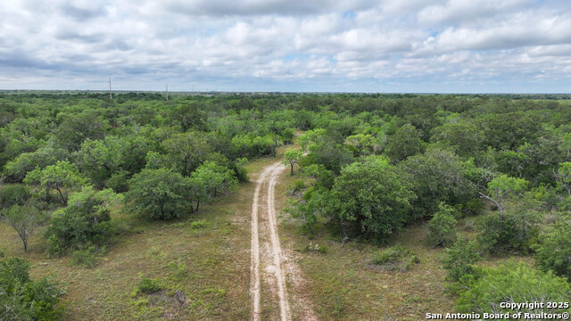 Image 14 of 34 For 001 County Road 266