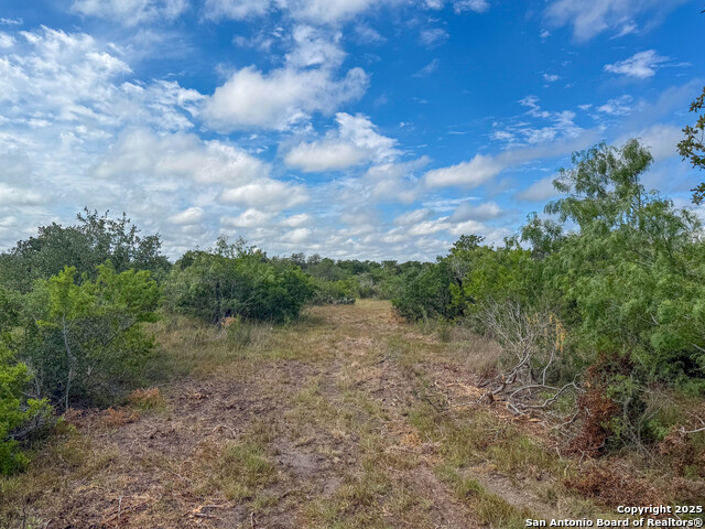 Image 23 of 34 For 001 County Road 266
