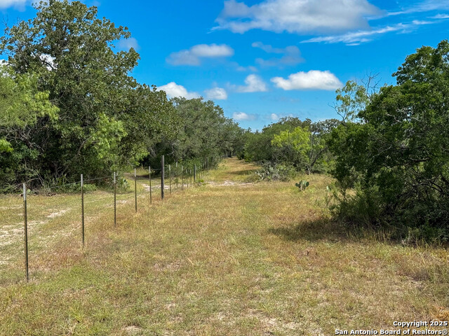Image 28 of 34 For 001 County Road 266