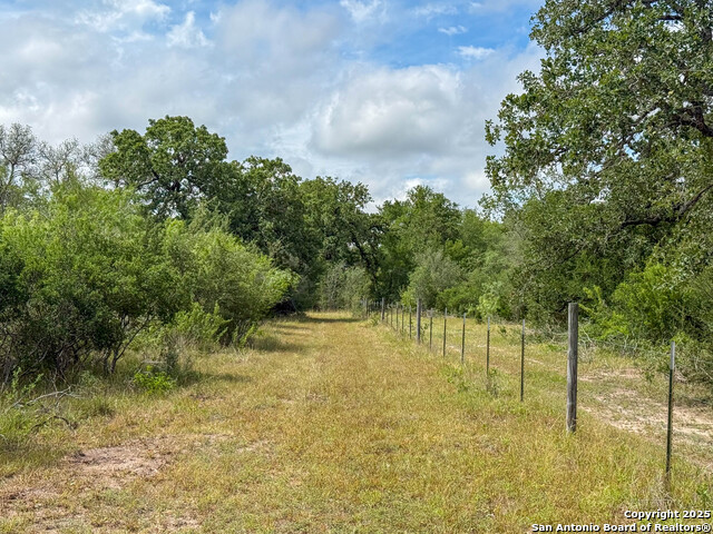 Image 29 of 34 For 001 County Road 266