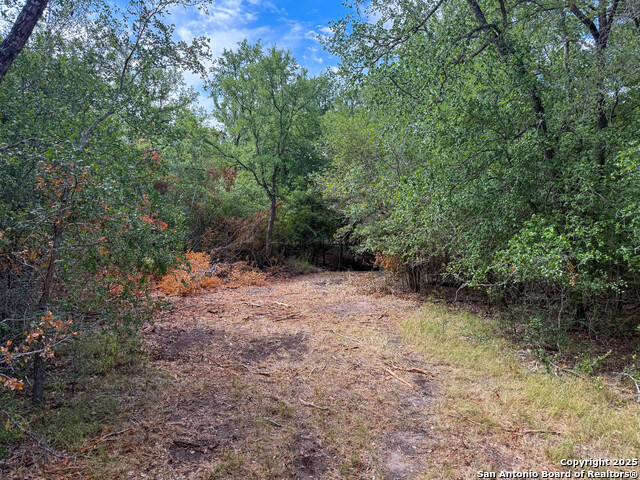 Image 30 of 34 For 001 County Road 266